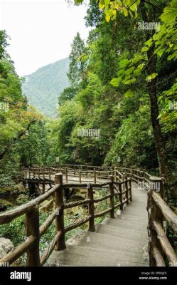 망산 공원 스릴 가득한 등반과 아름다운 풍경을 자랑하는 데양 명소!